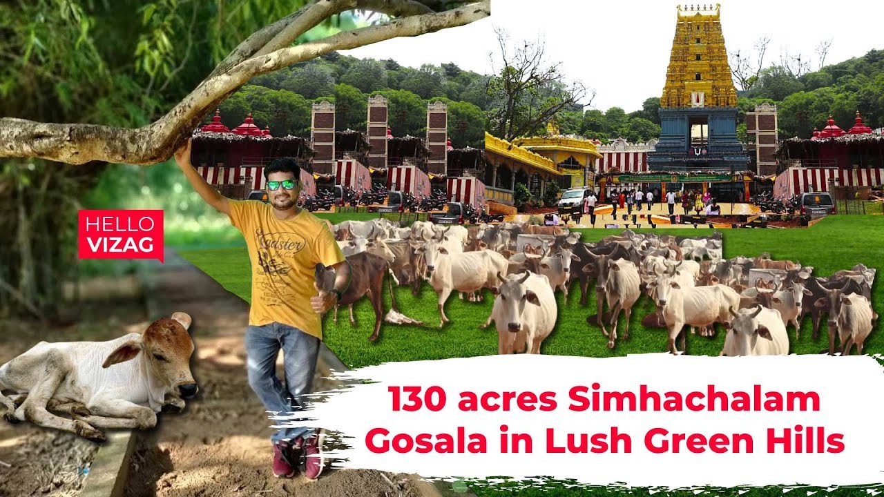 130 Acres Simhachalam Gosala in Lush Green Hills | Visakhapatnam | Hello Vizag