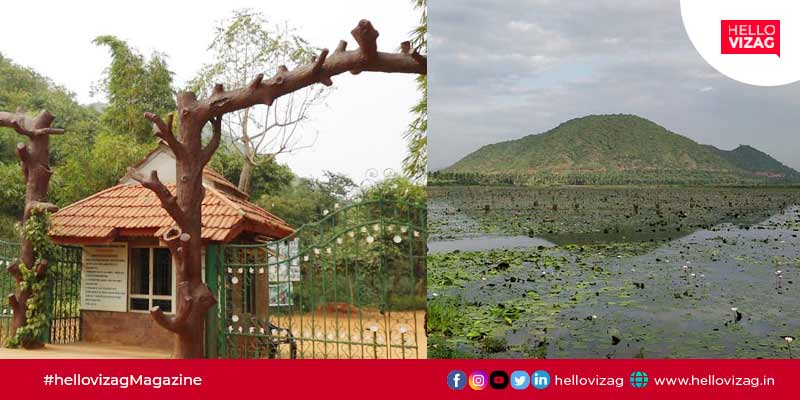 3 Wildlife Sanctuaries within 200km from Visakhapatnam