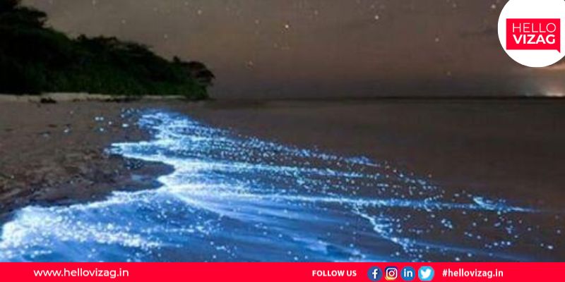 Bheemili Beach is glowing due to Bioluminescence, a beautiful spectacle