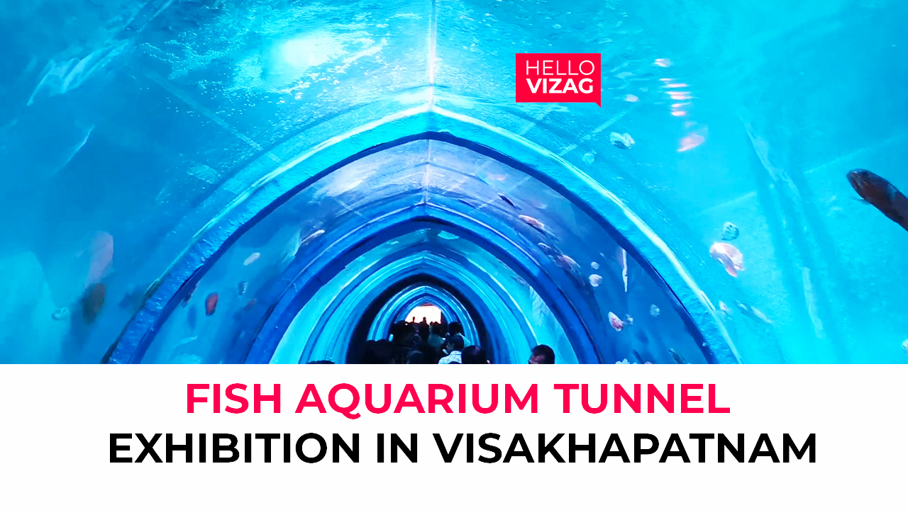 Fish Aquarium Tunnel Exhibition in Visakhapatnam Vizag Fish Tunnel Exhibition