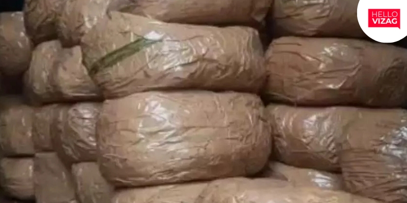 Over 400 kg of Cannabis Seized in Anakapalli, Three Arrested