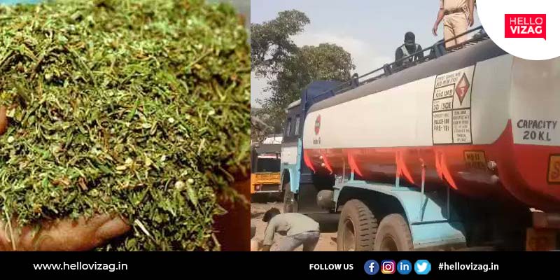 Police caught a smuggler who tried to smuggle cannabis in Pushpa style near Vizag