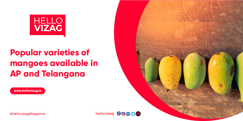 Popular varieties of mangoes available in the AP and Telangana
