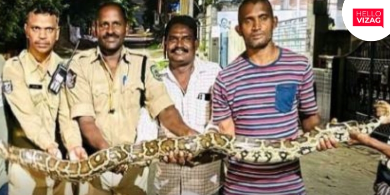 Python Causes Panic Near Visakha Hotel, Safely Rescued by Snake Catcher