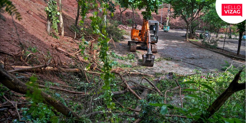 The removal of trees in the vicinity of Tenneti Park ignites a controversy in Vizag