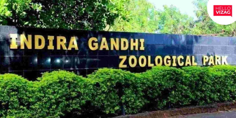 Visakhapatnam Zoo Records Impressive Single-Day Income of ₹5.76 Lakh