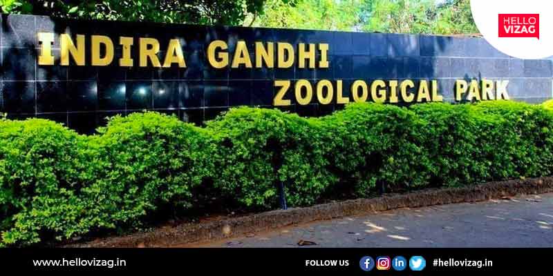Vizag zoo to organize World Wildlife Day on March 3rd